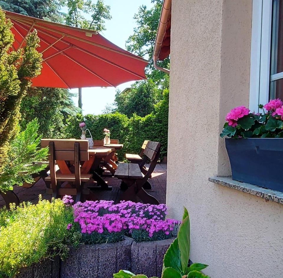 Garden, Seating area