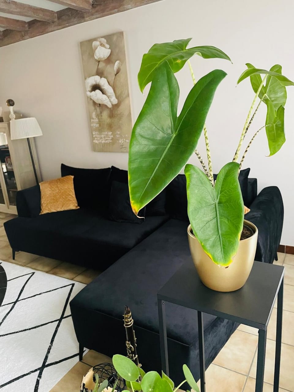 Living room, Decorative detail