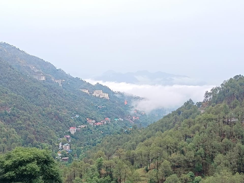View (from property/room)