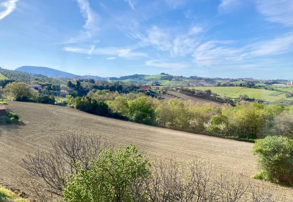 Natural landscape