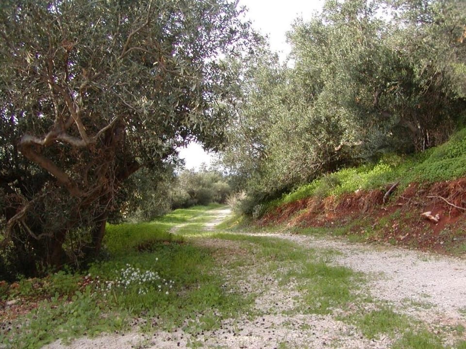 Casa panorama House in Sicily