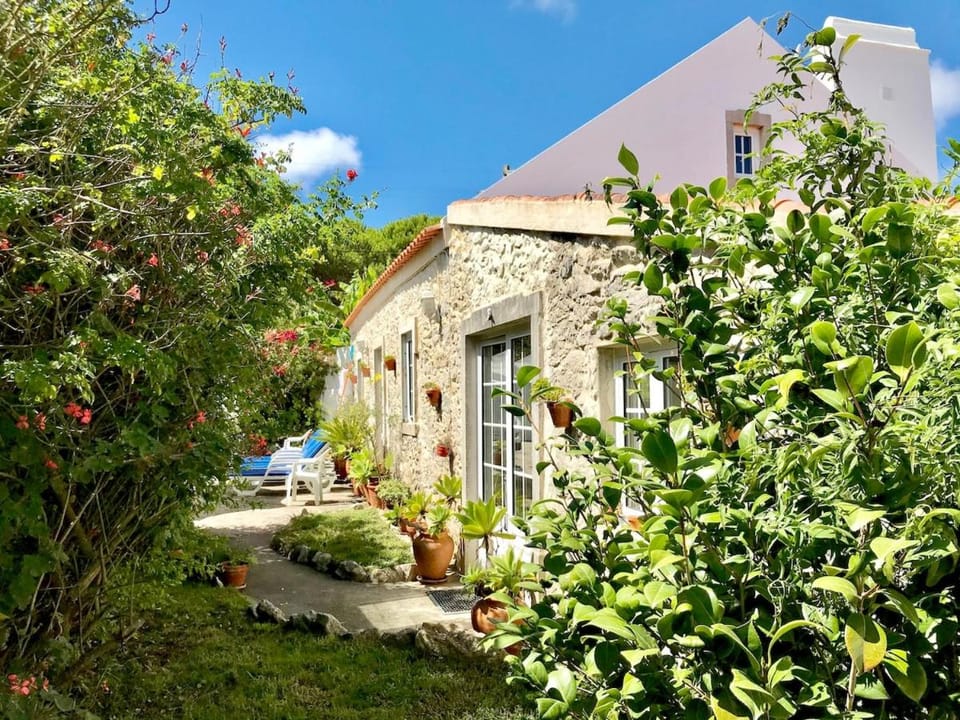 Secret Garden - Romantic villa with patio and pool - privacy House in Lisbon District