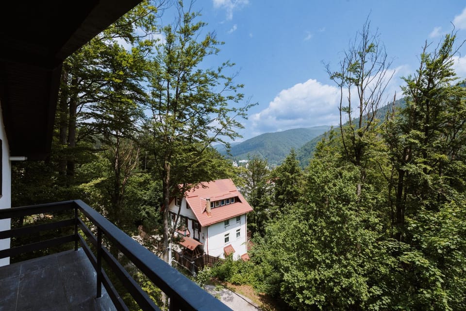 View (from property/room)