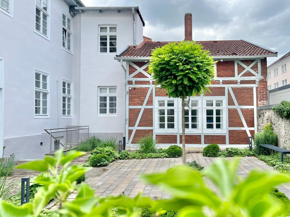 Property building, Patio, Day, Garden, Garden view, Sunrise, Sunset, Inner courtyard view, sunbed
