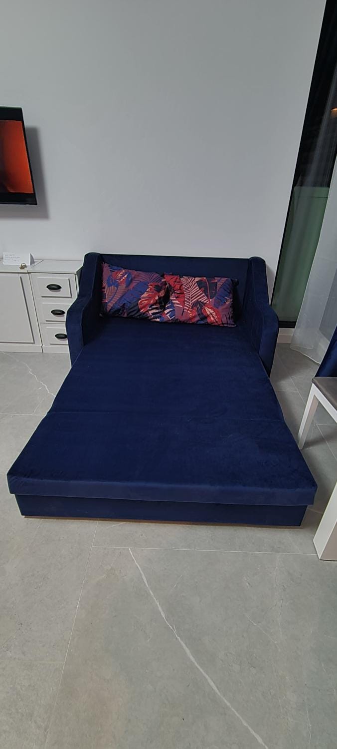 Bed, Living room, Photo of the whole room, Seating area, Bedroom