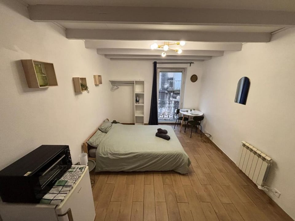 Charmant Studio Montpellier hypercentre Apartment in Montpellier