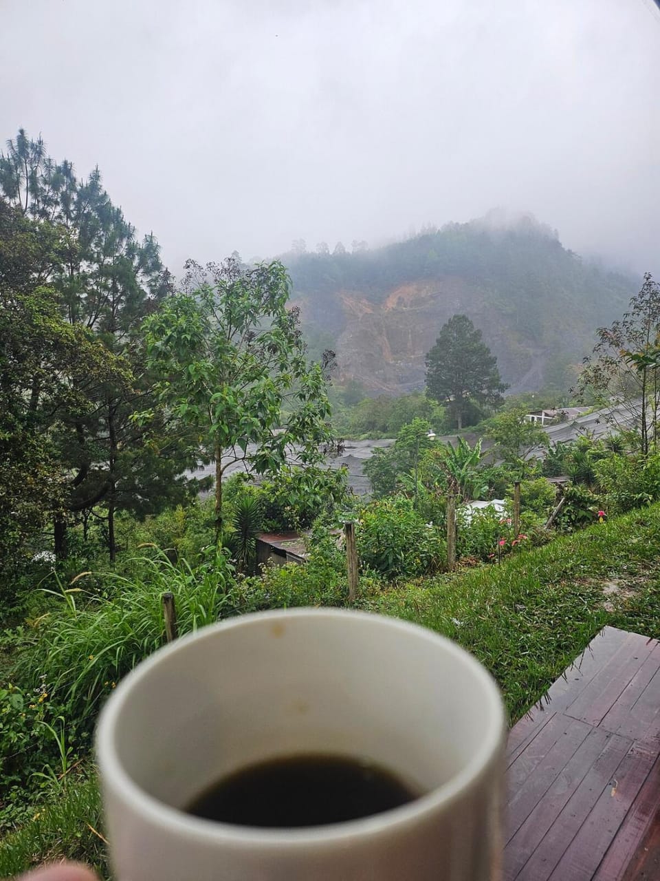 Mountain view
