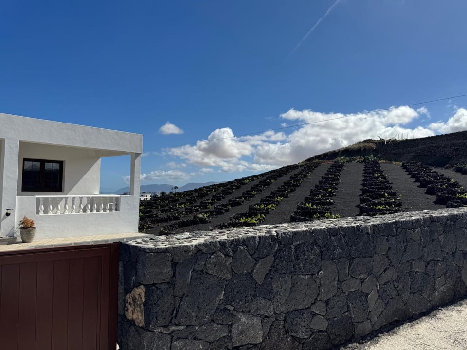 Vineyard House House in Isla de Lanzarote