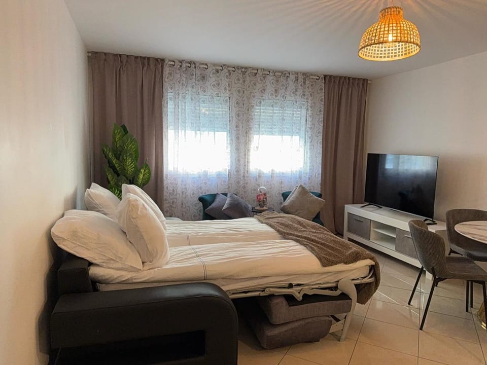 Nice apartment Promenade des Anglais à 5 minutes de la mer à pied Apartment in Nice