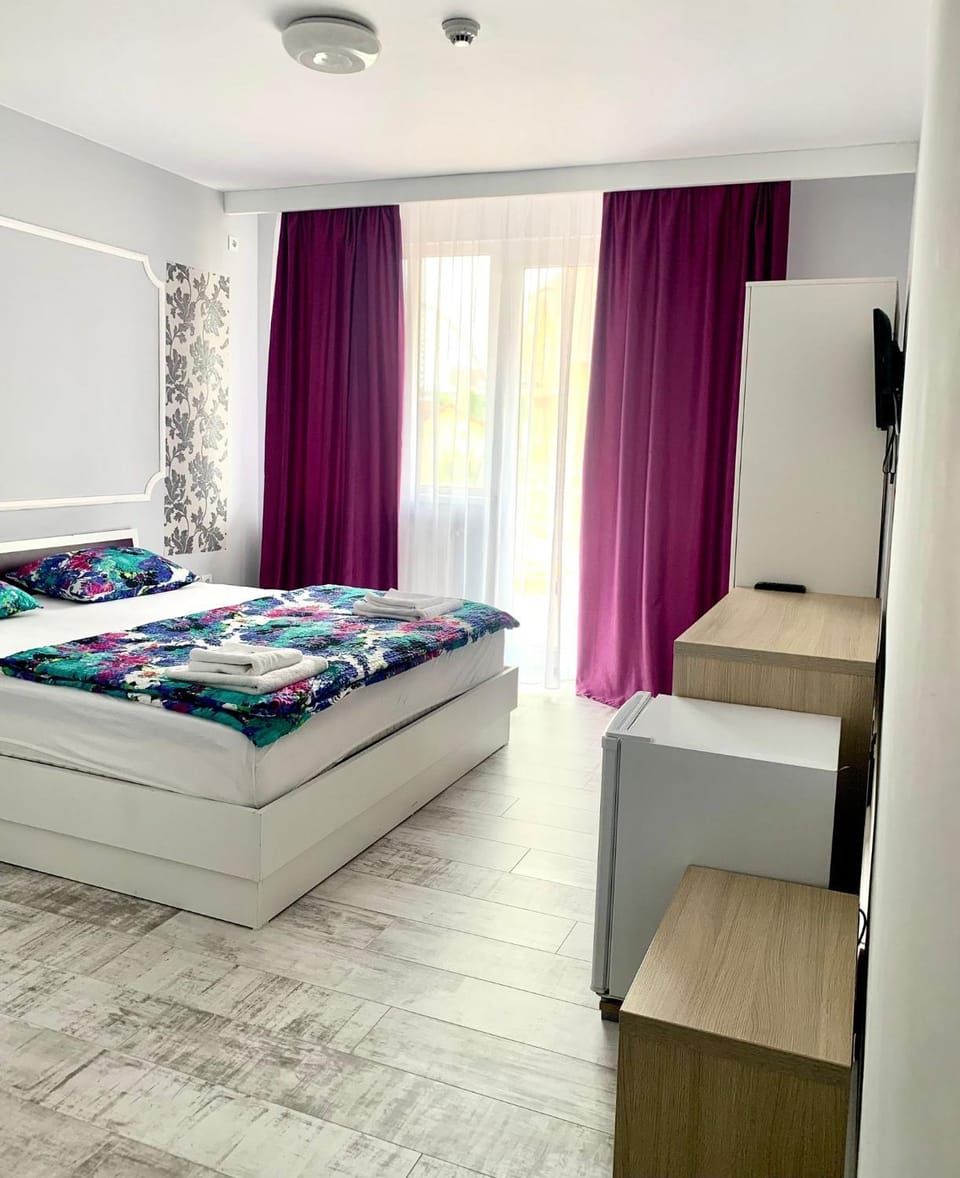 Pensiunea ALAS Bed and Breakfast in Romania