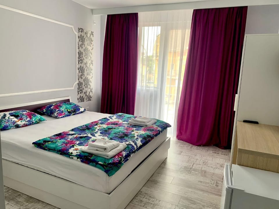 Pensiunea ALAS Bed and Breakfast in Romania