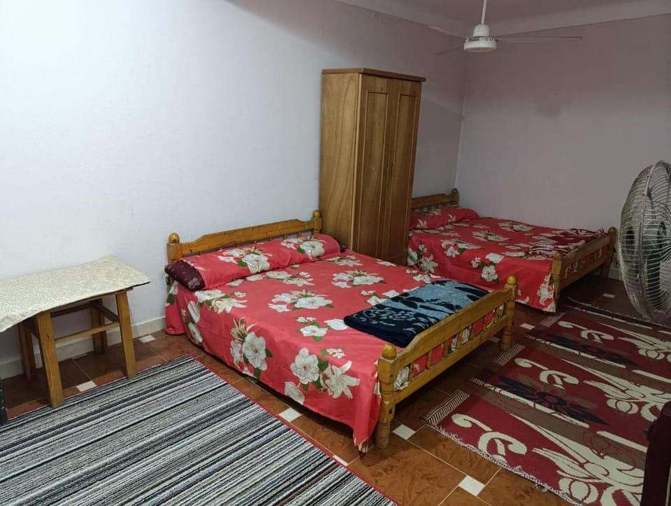 Miami units in Essawi st Apartment in Alexandria