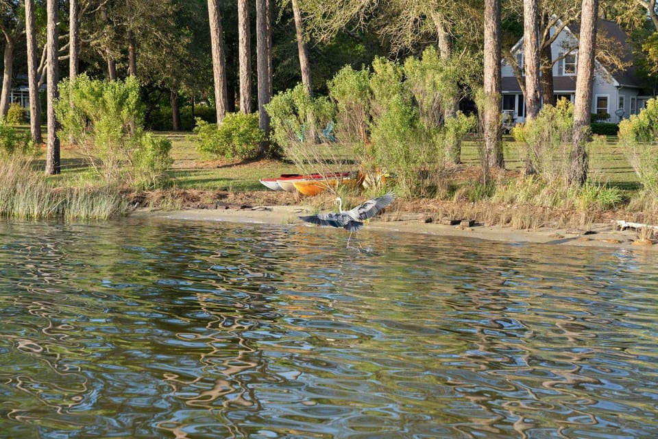 Secluded Waterfront Retreat for 23 - Dock Pets OK House in Perdido Beach