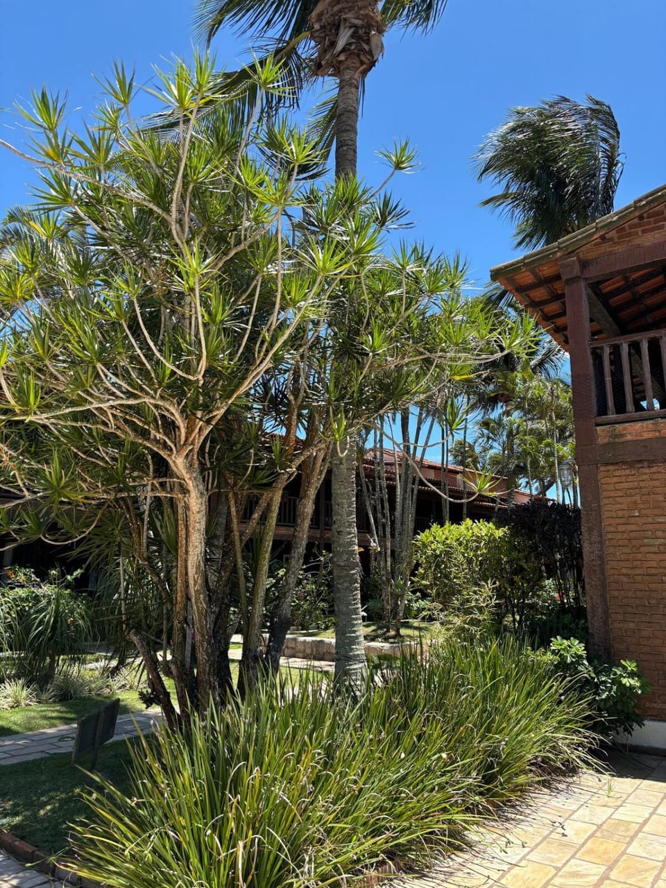 Apart Hotel pet friendly - Geribá Apartment in Armacao dos Buzios