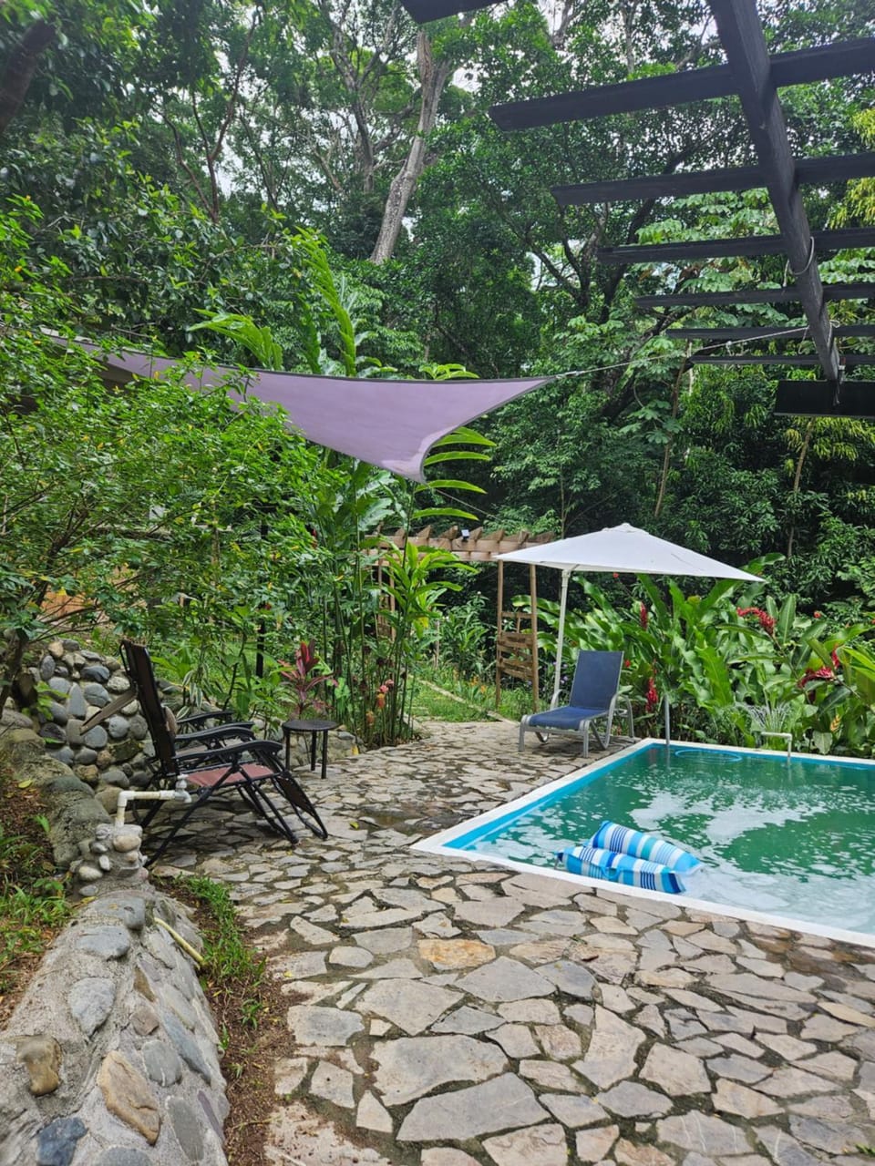 Natural landscape, Swimming pool, sunbed