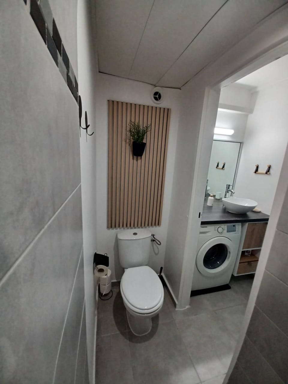 Toilet, Bathroom, washing machine