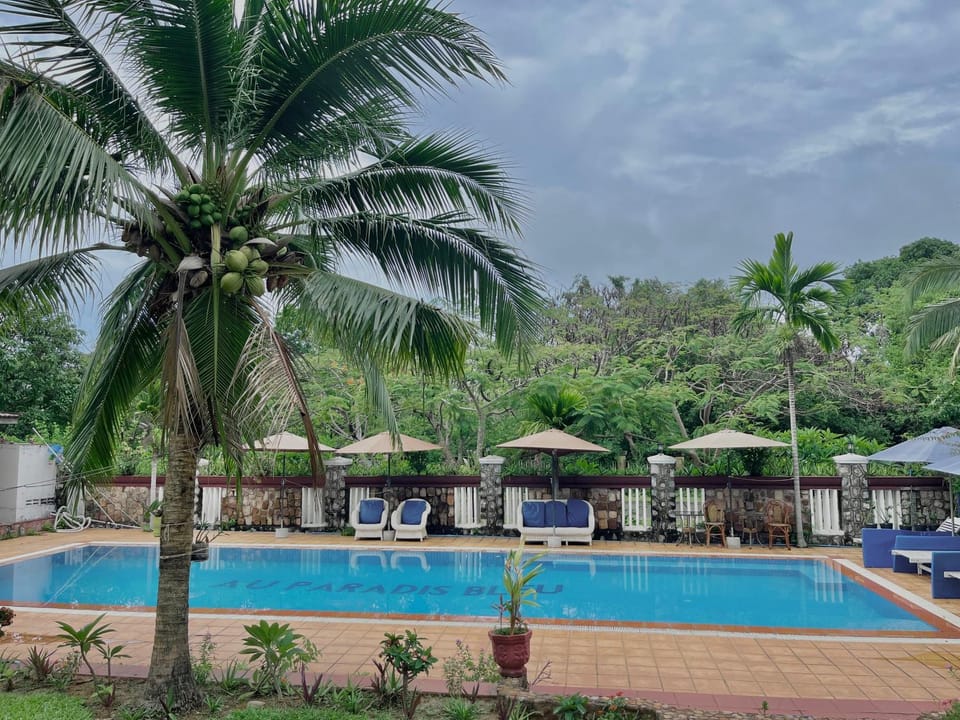 Day, Garden, Garden view, Pool view, Swimming pool, sunbed