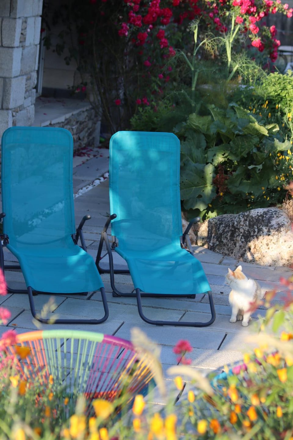 Garden, Balcony/Terrace, Garden view, sunbed