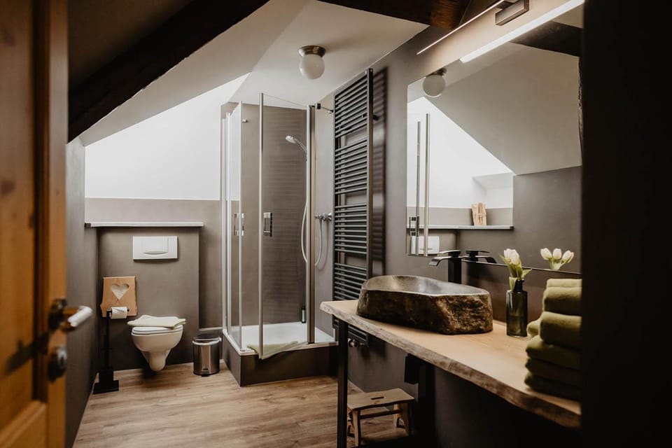 Shower, Toilet, Bathroom, towels