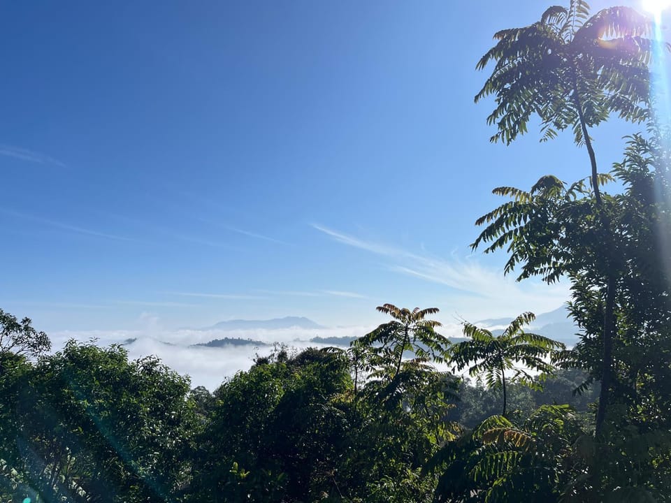 Mountain view
