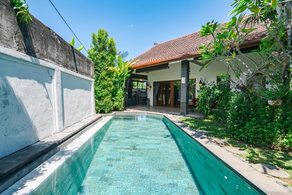 Property building, Garden, Garden view, Pool view, Swimming pool