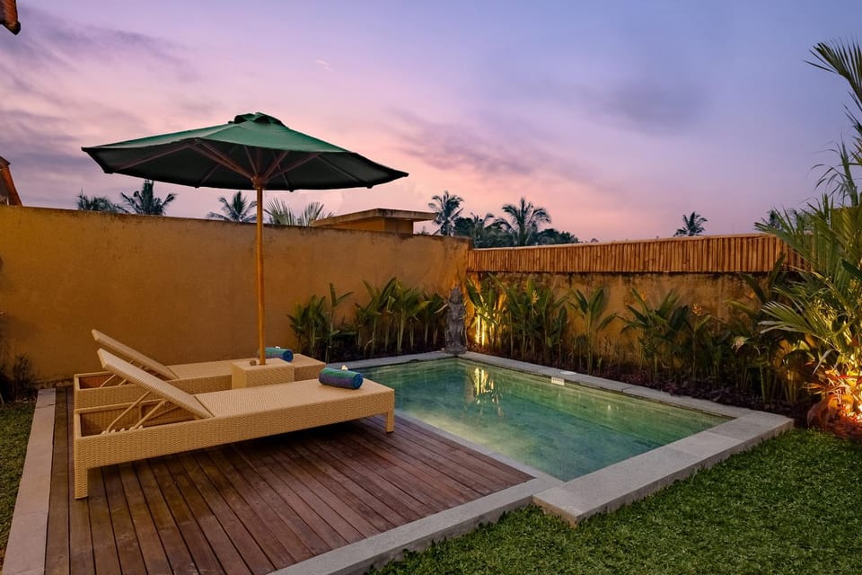 Natural landscape, Garden, Garden view, Pool view, Swimming pool, Sunset, sunbed