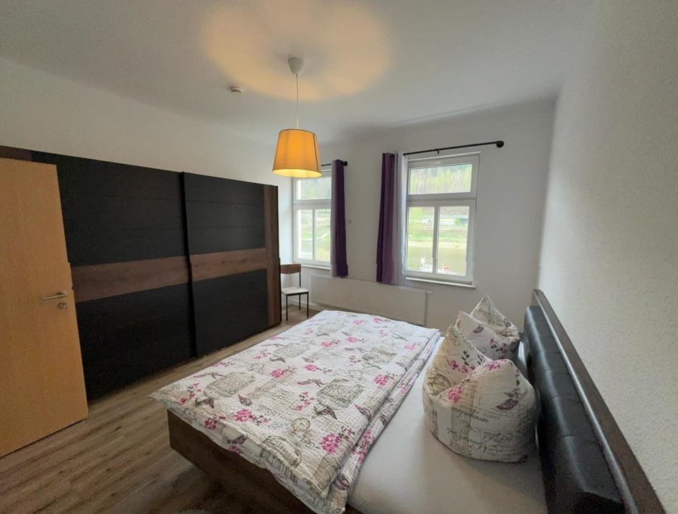 FEWO Elbeblick Apartment in Bad Schandau