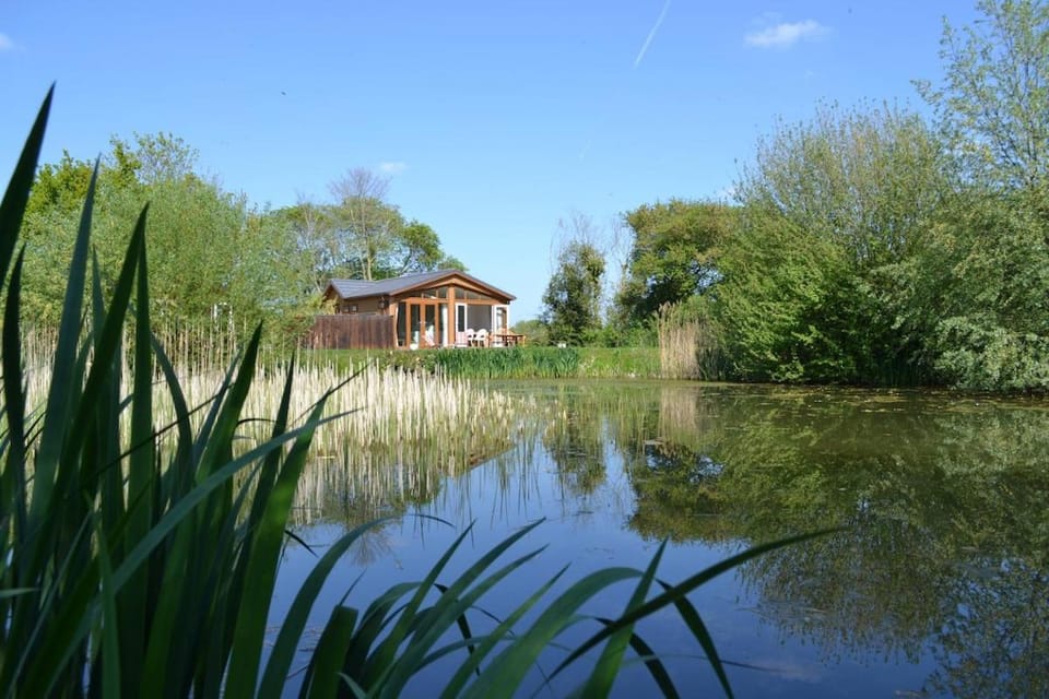 Natural landscape, Lake view