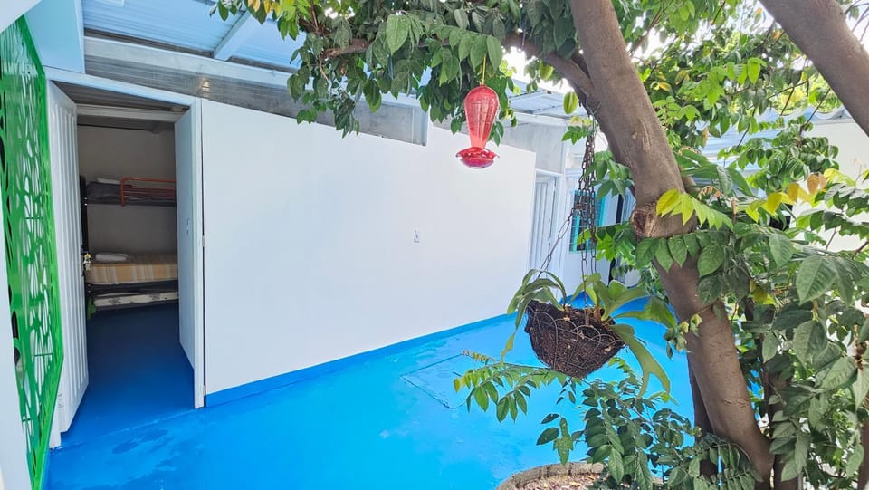 Day, Garden, Garden view