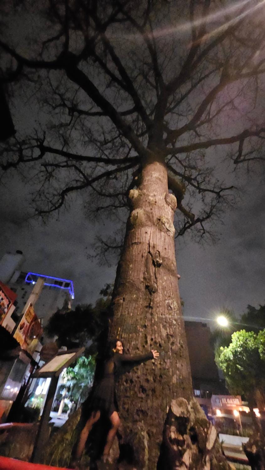 Nearby landmark, Off site, Night