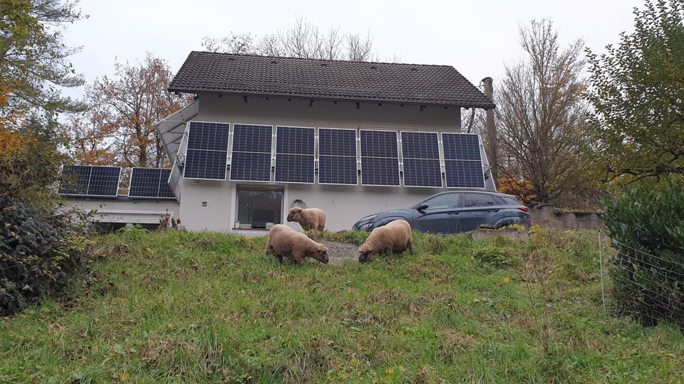 Property building, Garden, Animals, Animals