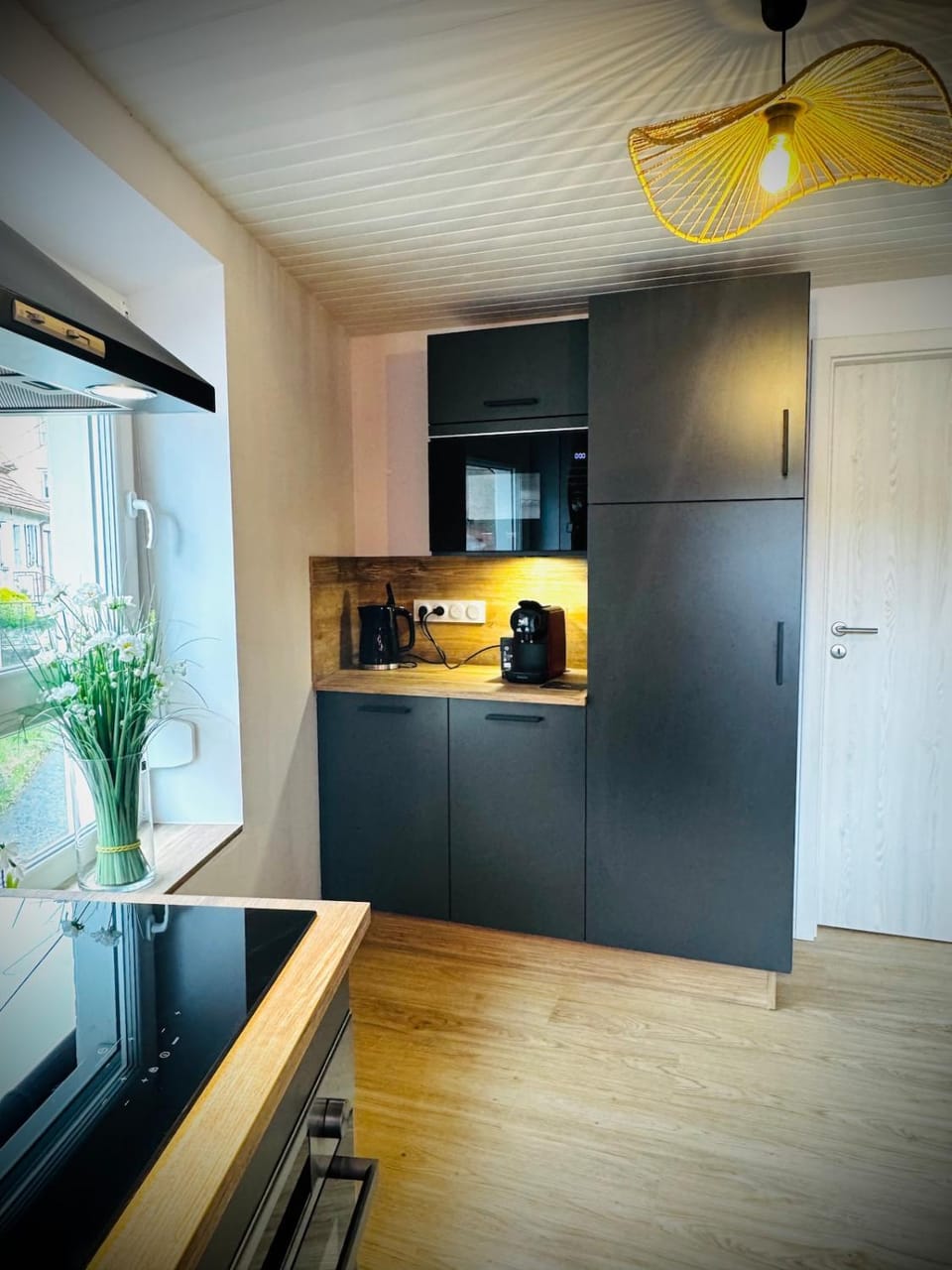 La Tanière du Katz Apartment in Grand Est