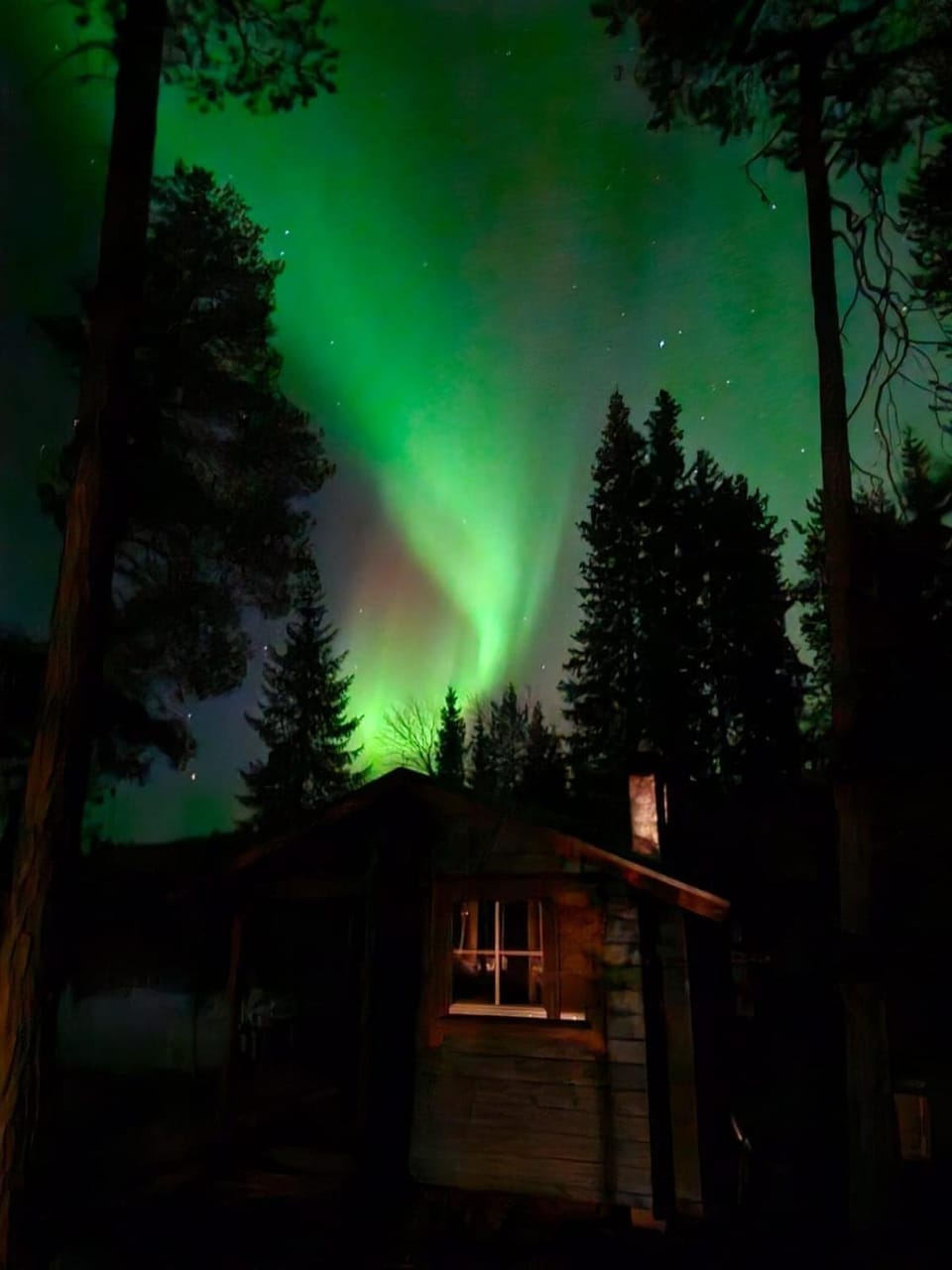 Blue Moment at the Arctic Circle- Forest, beach, activities Chalet in Lapland