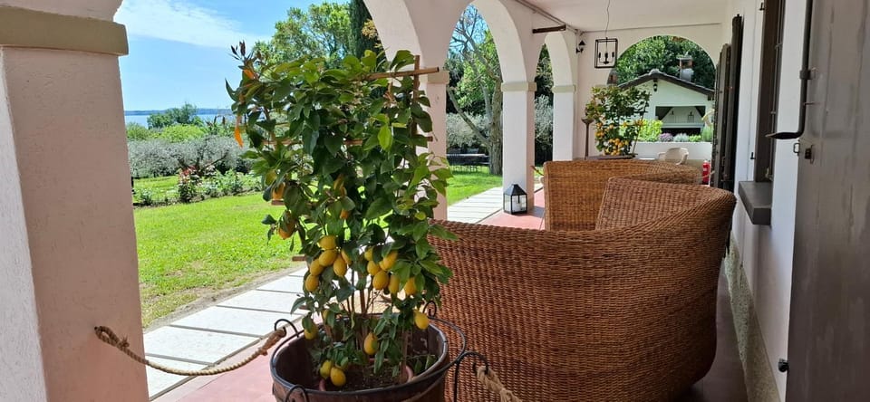 Spring, Garden, Living room, Garden view