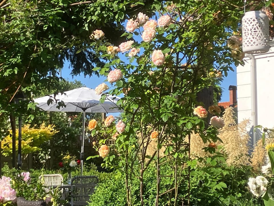 B&B Österlens RosenTrädgård Vacation rental in Skåne County