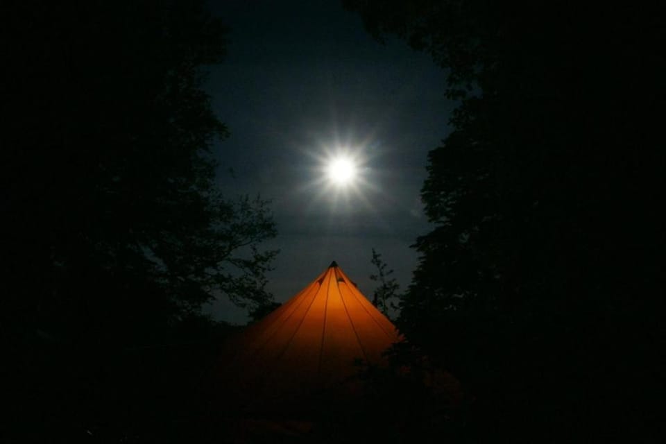 Bell Tent in the Wood Luxury tent in Rother District