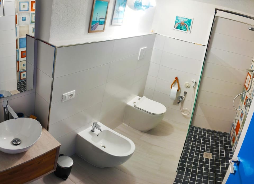 Shower, Toilet, Bathroom, bidet