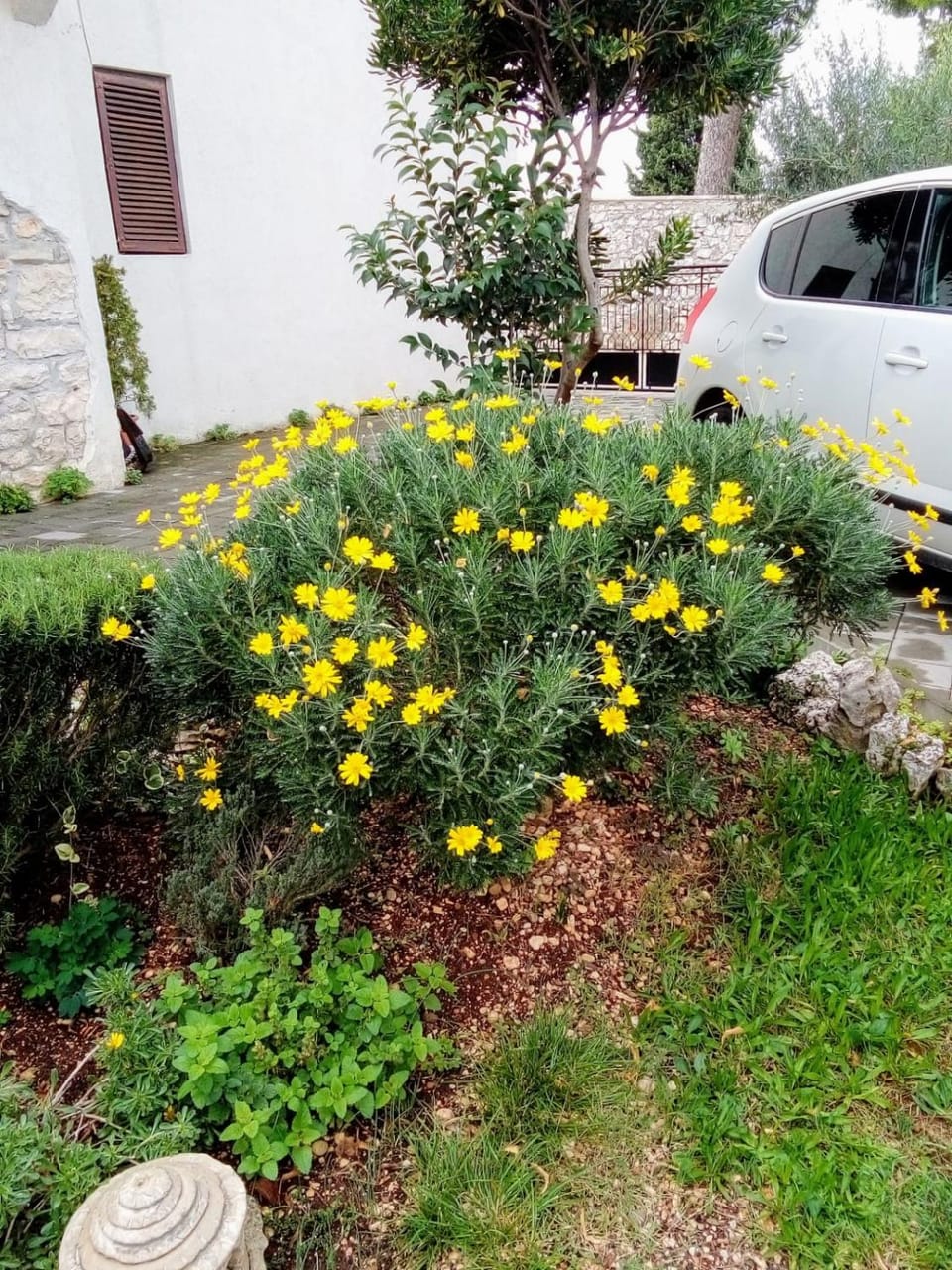 Garden, Other, Decorative detail