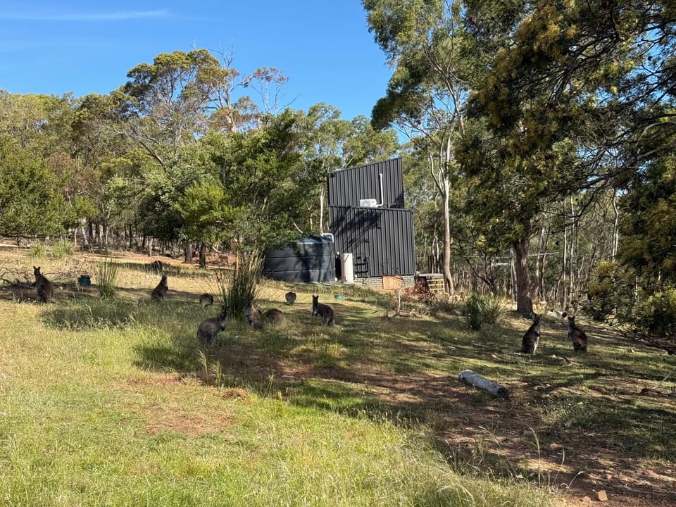 Richmond Wildlife Haven Villa in Tasmania