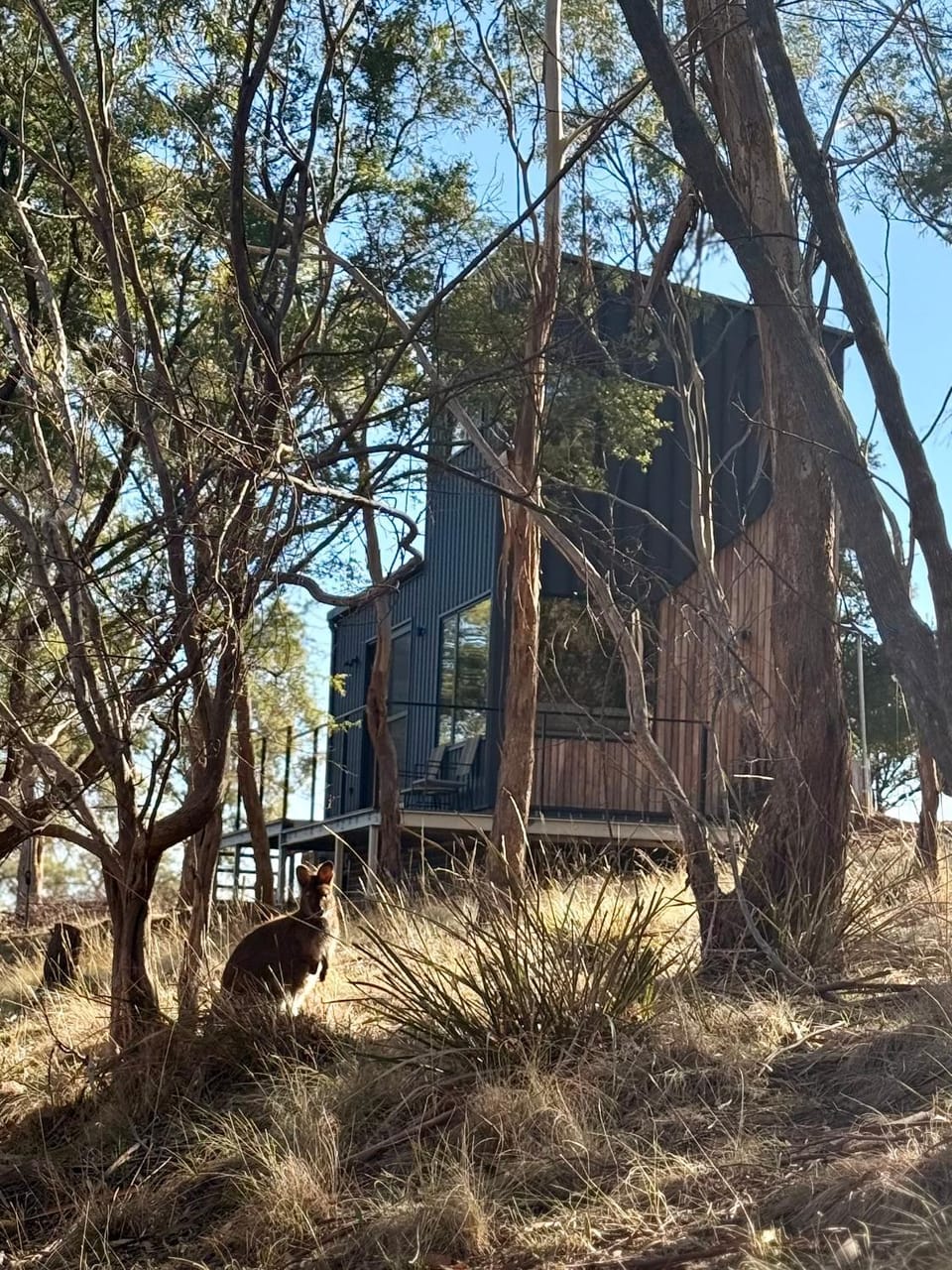 Richmond Wildlife Haven Villa in Tasmania