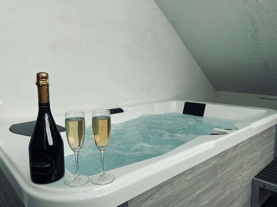 1 lenoir cocon romantique avec jacuzzi au centre Apartment in Reims