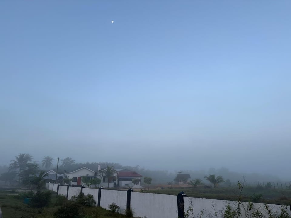 View (from property/room)