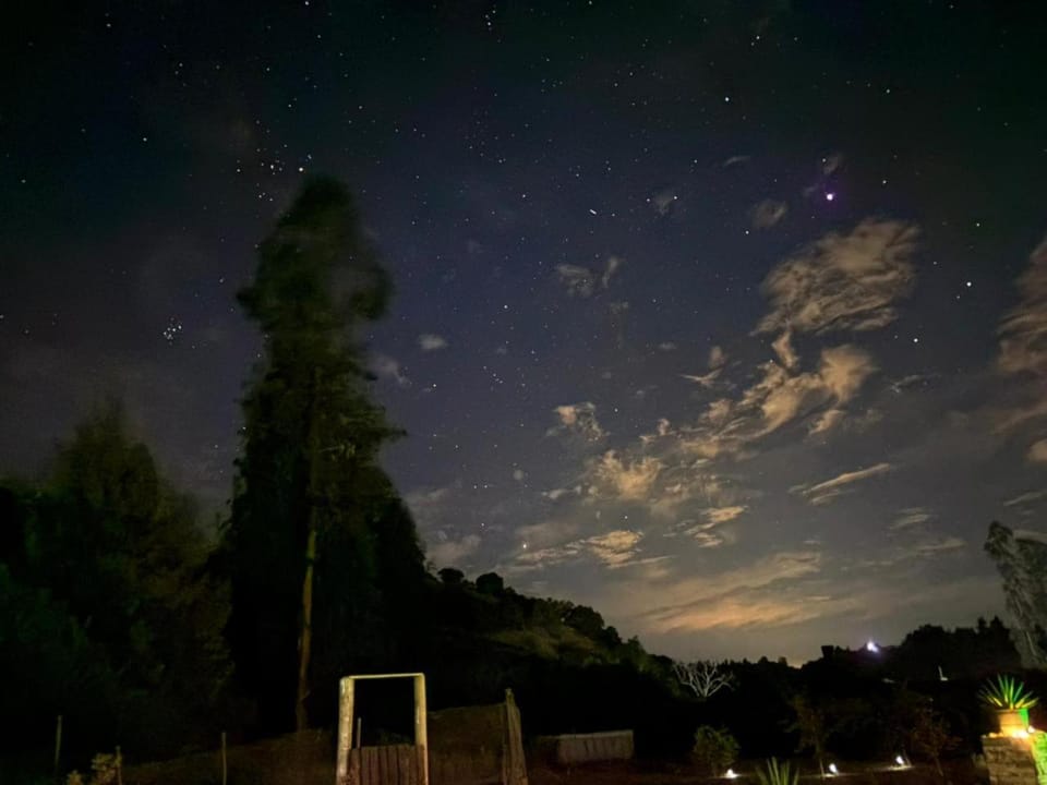 Night