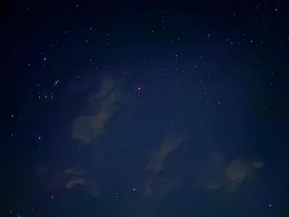 Night