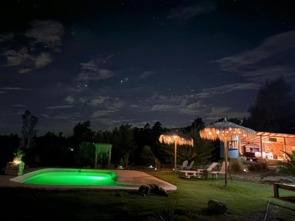 Night, Garden view, Pool view, Swimming pool