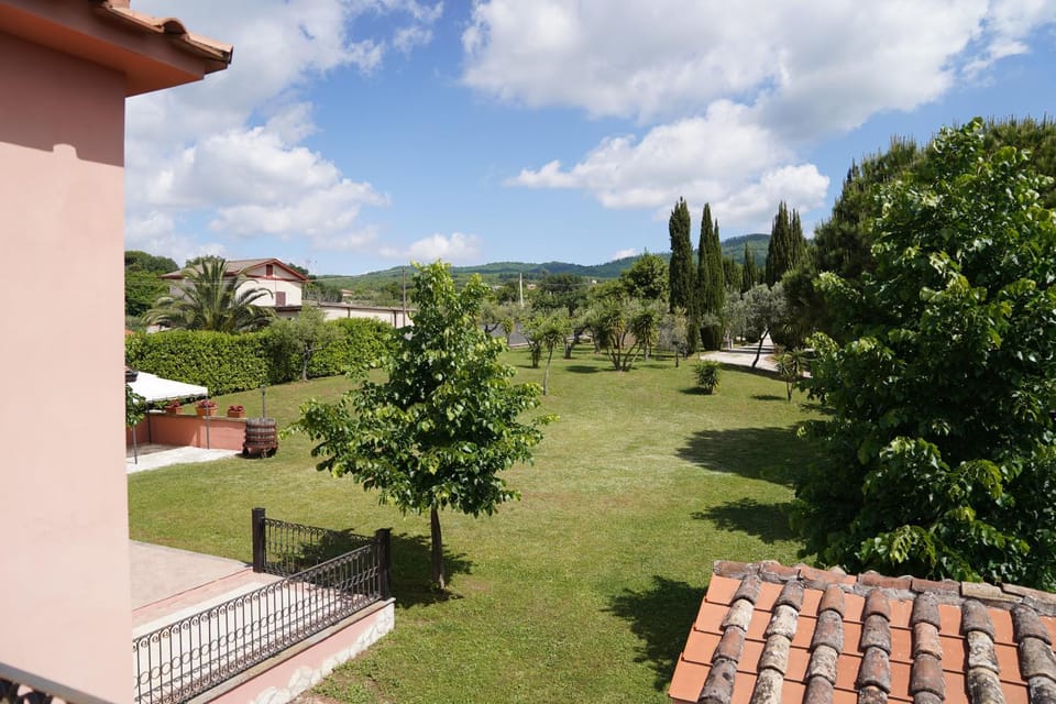 Garden view