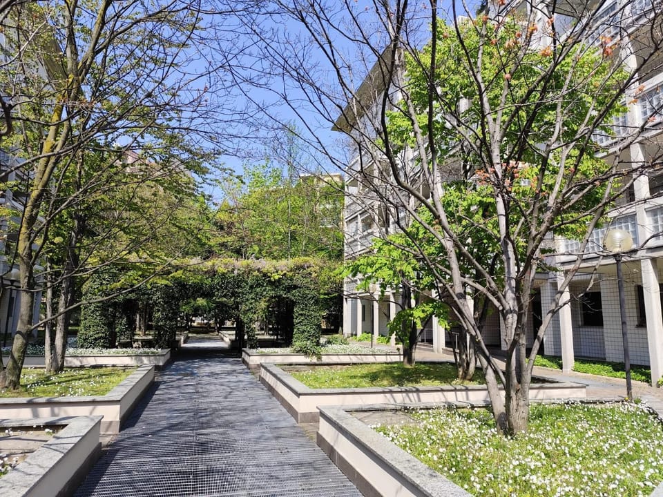 Property building, Spring, Day, Neighbourhood, Natural landscape, Garden, Garden view, Street view