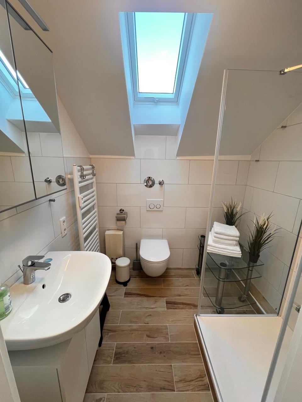 Shower, Toilet, Bathroom, towels