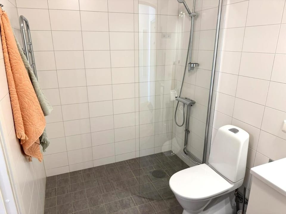 Shower, Toilet, Bathroom, towels