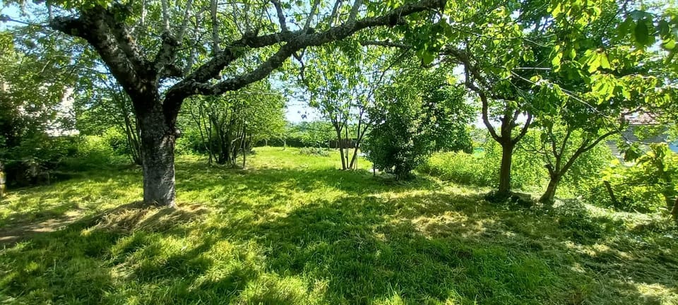 Spring, Day, Garden, Garden view